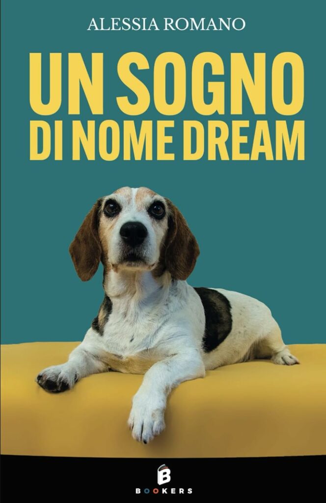 Un sogno di nome Dream